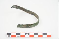 Foto von Bronzeschaukelfußreif (NHMW-PRAE-025995)